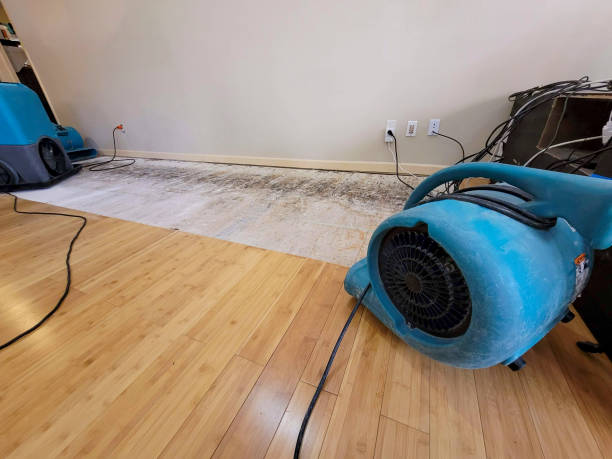Professional Water Damage Repair technician working in Lake Isabella, CA